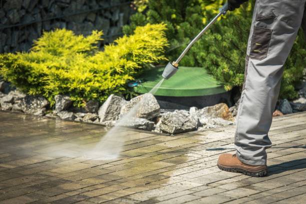 Best Animal Enclosure Cleaning  in Fort Belknap Agency, MT