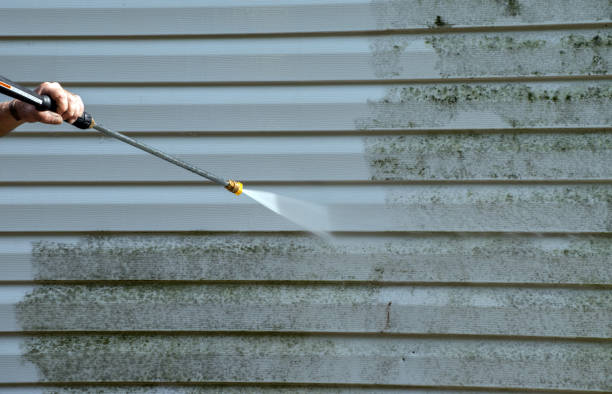 Best Gutter Cleaning  in Fort Belknap Agency, MT